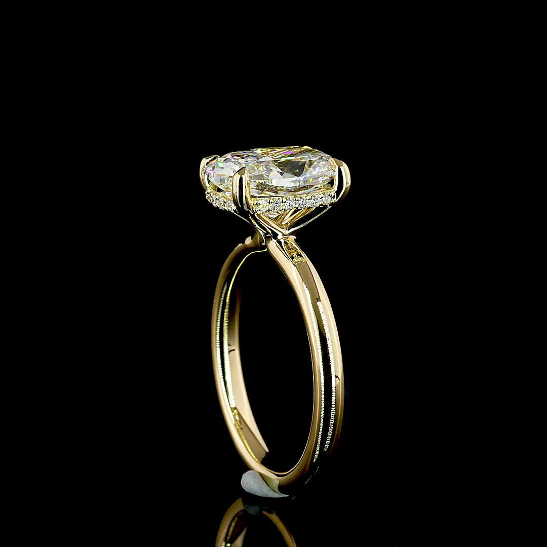 3ct Cushion Diamond Hidden Halo Engagement Ring