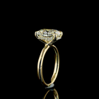 4ct Cushion Diamond Hidden Halo Engagement Ring